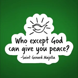 Quote from Saint Gerard Malleja